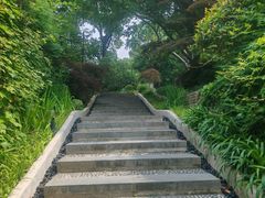 -上海瑞金洲际酒店