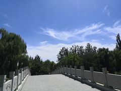 -大兴滨河森林公园