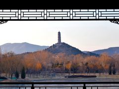 -北坞公园