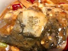 -阿五黄河大鲤鱼(英协路店)