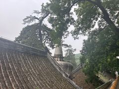 -潭柘寺景区