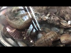 -睿柏云酒店-餐厅