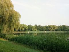 -朝阳公园游乐园