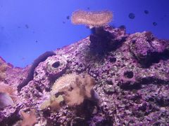 -泉城欧乐堡海洋极地世界