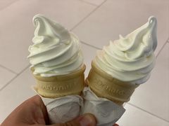 -麦当劳(金狮广场店)