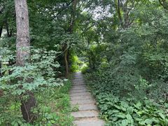 -长春市南湖公园