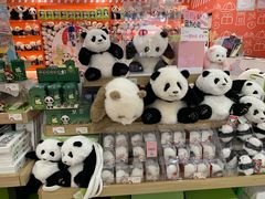 -熊猫邮局(少城店)
