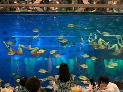 -瑞德姆美人鱼海底演艺主题餐厅(亚龙湾店)