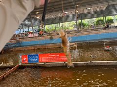 -粮心小农·大头虾亲子生态园(长发店)