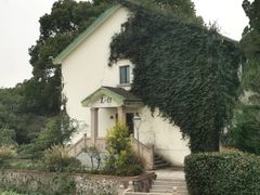 -上海市保健医疗中心