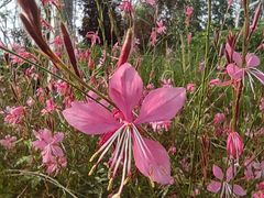 -永定河休闲森林公园