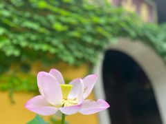 -惠山古镇·寄畅园