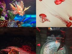 -沈阳海洋探索中心