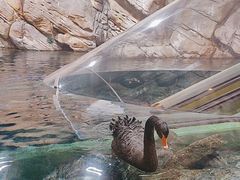 -上海海洋水族馆