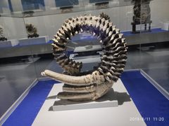 -贝壳王国博物馆