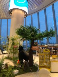 -IMON·HANSA潮玩玩偶毛绒玩具(通州万象汇店)