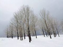 -雪谷