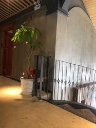 点击看大图 -Cocodemer 产后恢复中心(多伦路店)
