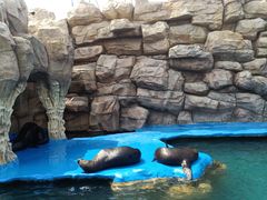 -华夏文旅海洋公园