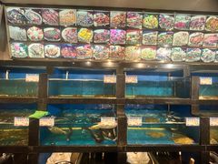 -华盛丰温州大排档(东三环南路店)