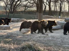 -北京野生动物园
