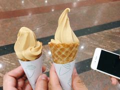 姜醋雪糕-国家五钻酒家·西樵旺阁渔村(西樵店)