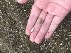 -东钱湖阳光沙滩