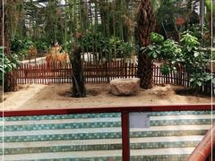 -呀路古热带植物园