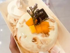 -狐狸和向日葵(北京路店)