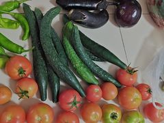 -庞各庄翠芳园西瓜蔬菜基地采摘园