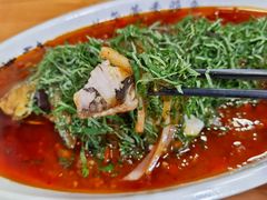 -老字号怡玺·藿香雅鱼(20年雅安店)