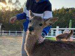 -熹乐谷温泉度假区
