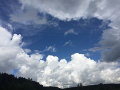 -塞罕坝国家级自然保护区