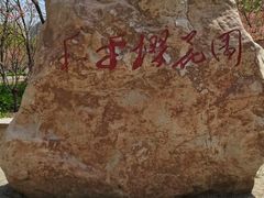 -长白岛森林公园