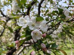 -玄武湖景区-情侣园游乐场