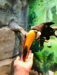 -Zoolung Zoolung动物主题公园(海信广场店)