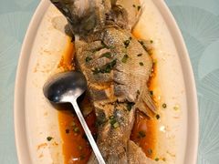 -故乡缘·香格里拉山庄(冷竹路店)