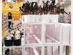 -KKV(重庆东原悦荟主力店)