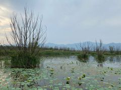 -野鸭湖国家湿地公园