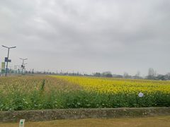 -中国天府农业博览园