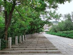 -府君山公园