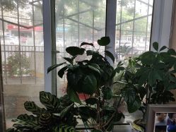 -北京美痣堂古方祛痣斑疣瘊