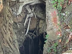 -抚仙湖禄充风景区