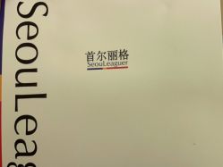 -上海首尔丽格医疗美容医院
