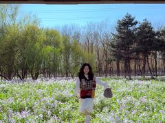 -长白岛森林公园