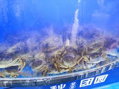 -蟹状元大闸蟹·年货·粽子(成都成华店)