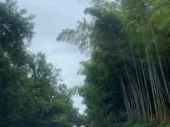 -平湖九龙山旅游度假区
