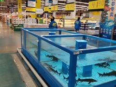 -麦德龙(浦东店)