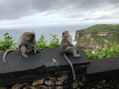 -Rock Bar Bali(Bali)