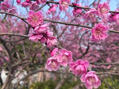 -太湖月亮湾